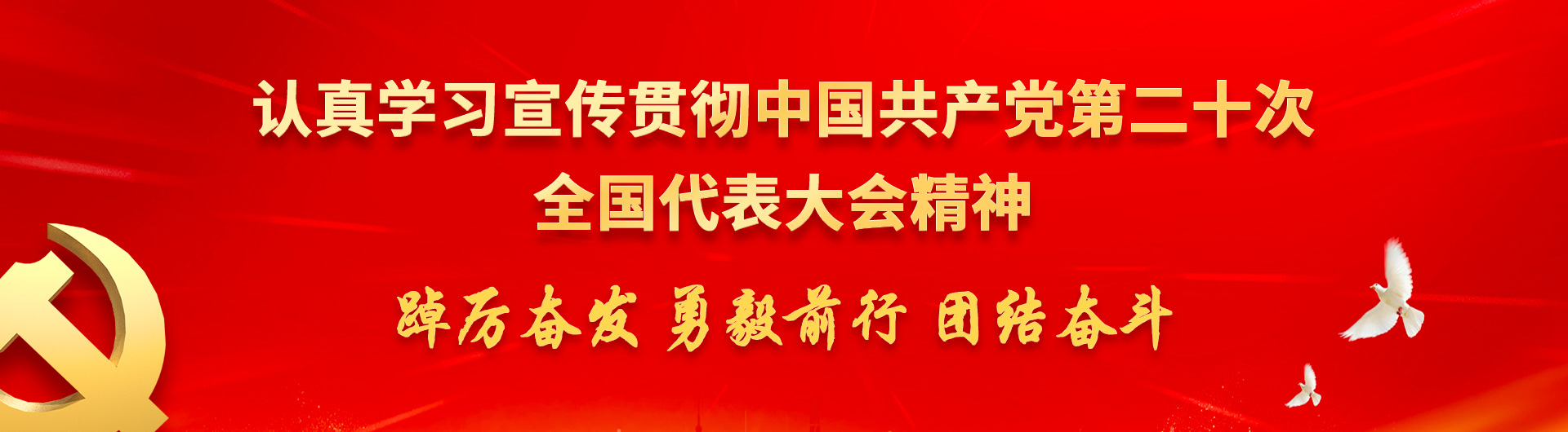 必赢官网网站